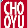 CHO-OYU EXPEDITION 2011